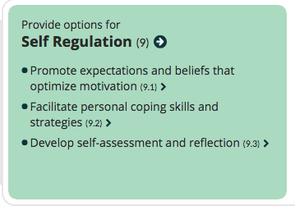Picture- This is a screenshot from the CAST UDL guidelines webpage. The image is a clickable link to the CAST UDL guidelines webpage.